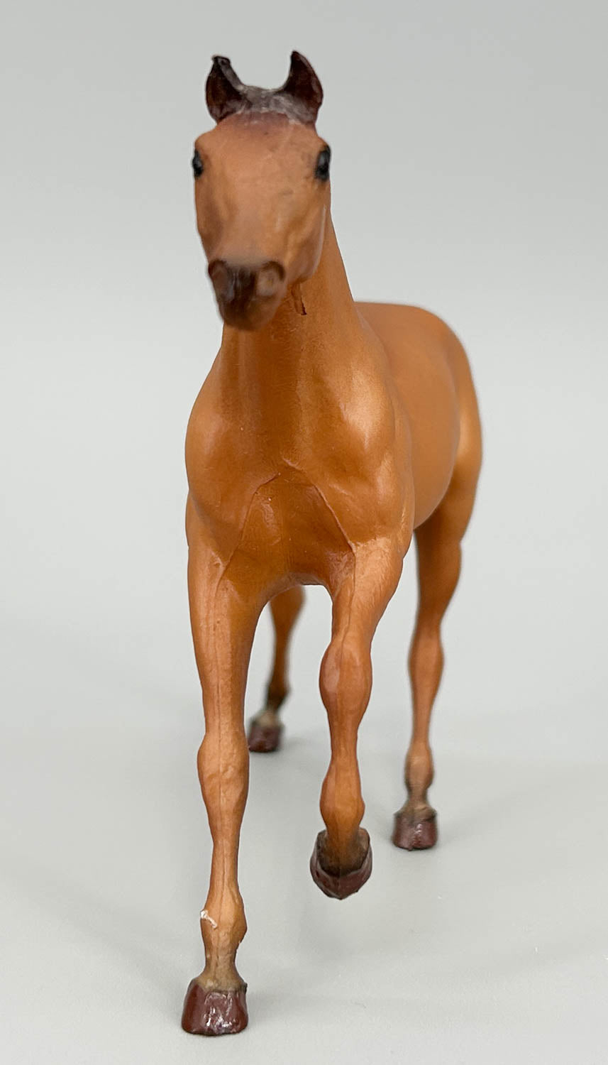 Thoroughbred Stallion, Chestnut (body)(sale for charity)