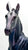 Lipizzaner Mare and Foal ~ Bellatrix and Spica - Web Special (sale for charity)