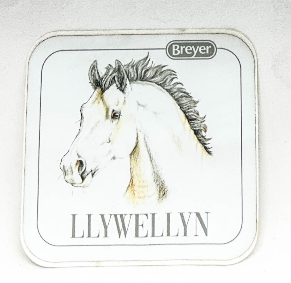 2024 Premier Club - Llywellyn Sticker (sale for charity)