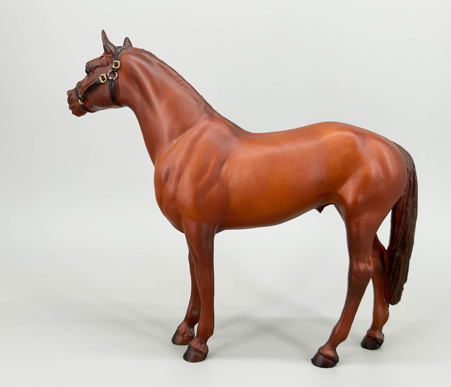 Man O' War - B Stamp (sale for charity)