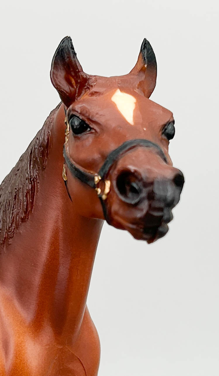 Man O' War - B Stamp (sale for charity)