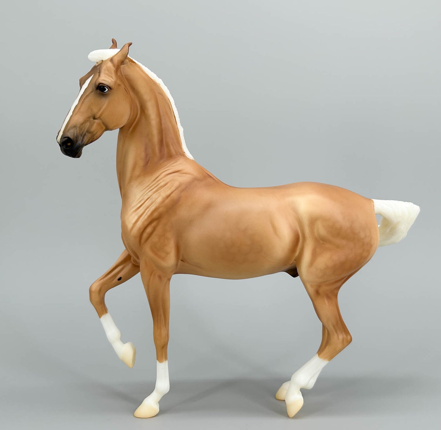 Marwari, Palomino (sale for charity)