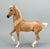 Marwari, Palomino (sale for charity)