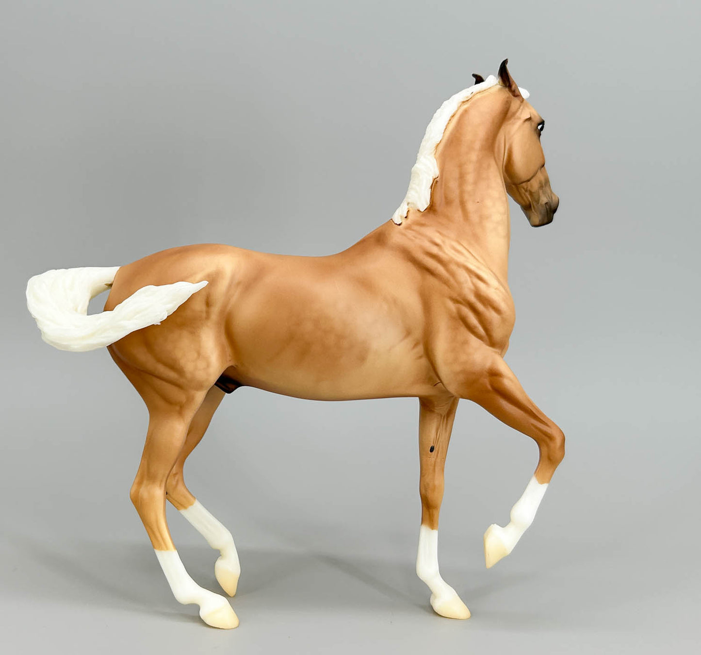 Marwari, Palomino (sale for charity)
