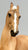 Marwari, Palomino (sale for charity)