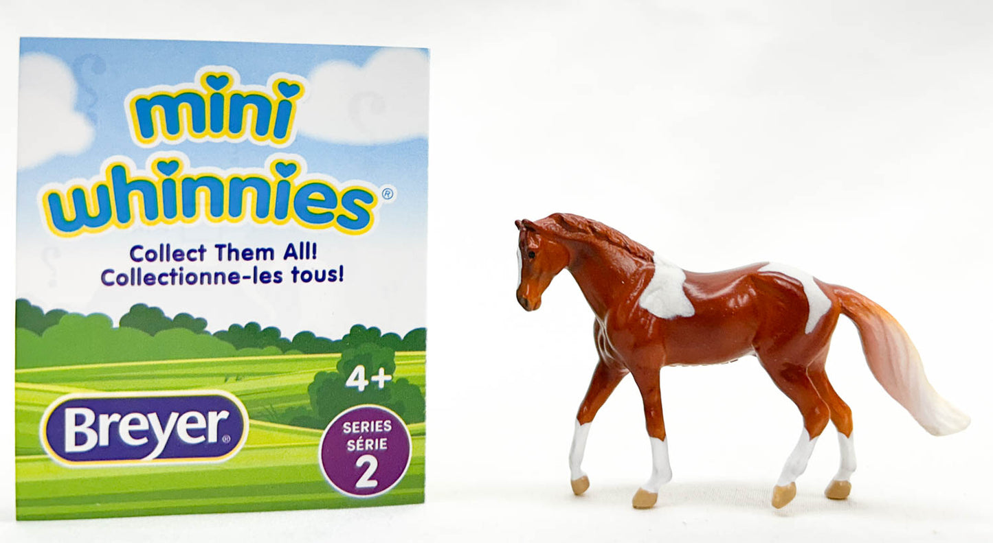 Stock Horse Gelding ~ Ronnie (sale for charity)