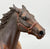 Pacer, "Bay" - Light Variation (body) (sale for charity)