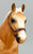 Quarter Horse Gelding, Palomino - JCP SR (Sale for charity)