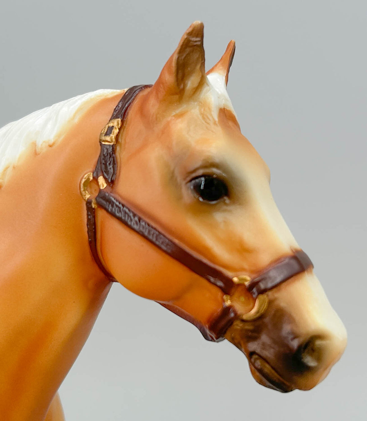 Quarter Horse Gelding, Palomino - JCP SR (Sale for charity)