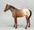 Quarter Horse Yearling, Sandy Bay Appaloosa (sale for charity)
