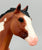Running Stallion & Action Stock Horse Foal ~ Great Spirit of the Mighty Eagle (sale for charity)