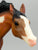 Running Stallion & Action Stock Horse Foal ~ Great Spirit of the Mighty Eagle (sale for charity)