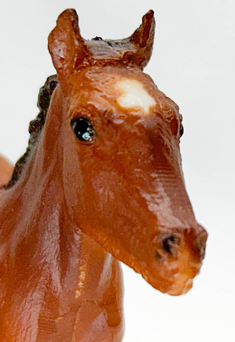 Sea Star, Marguerite Henry's Orphan of Chincoteage (sale for charity)