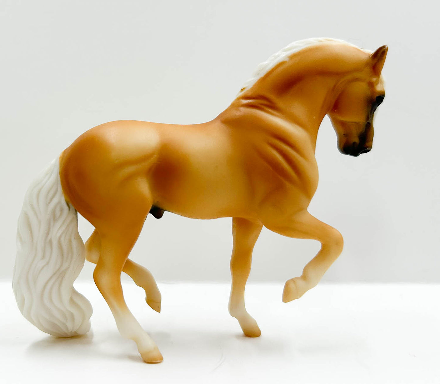 Andalusian, Palomino (sale for charity)