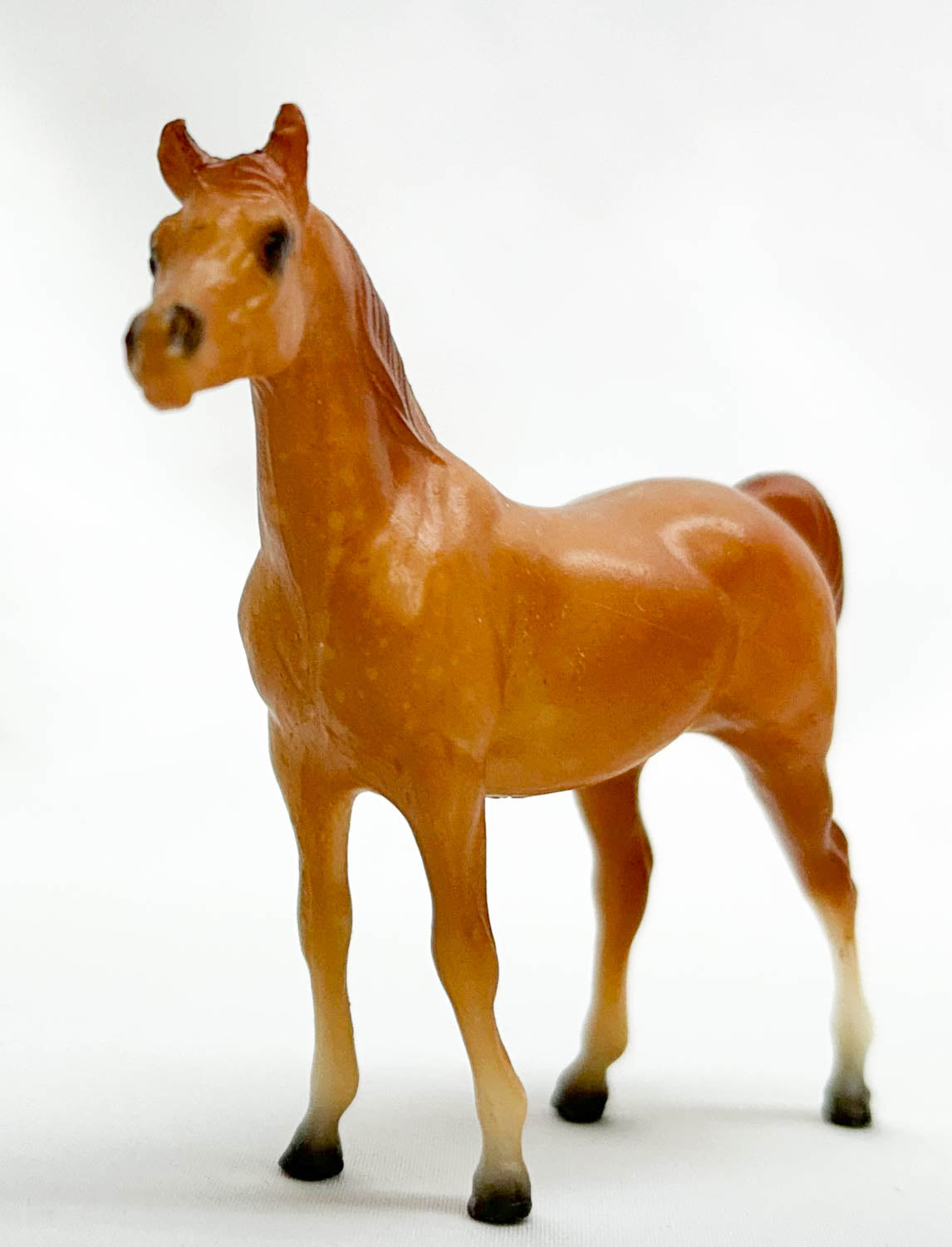 Arabian Stallion, Dappled Chestnut - Sears SR (sale for charity)