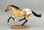 Smarty Jones ~ Hakan - Tractor Supply SR (sale for charity)