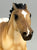 Smarty Jones ~ Hakan - Tractor Supply SR (sale for charity)