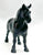 Draft Horse, Black - Sears SR (sale for charity)