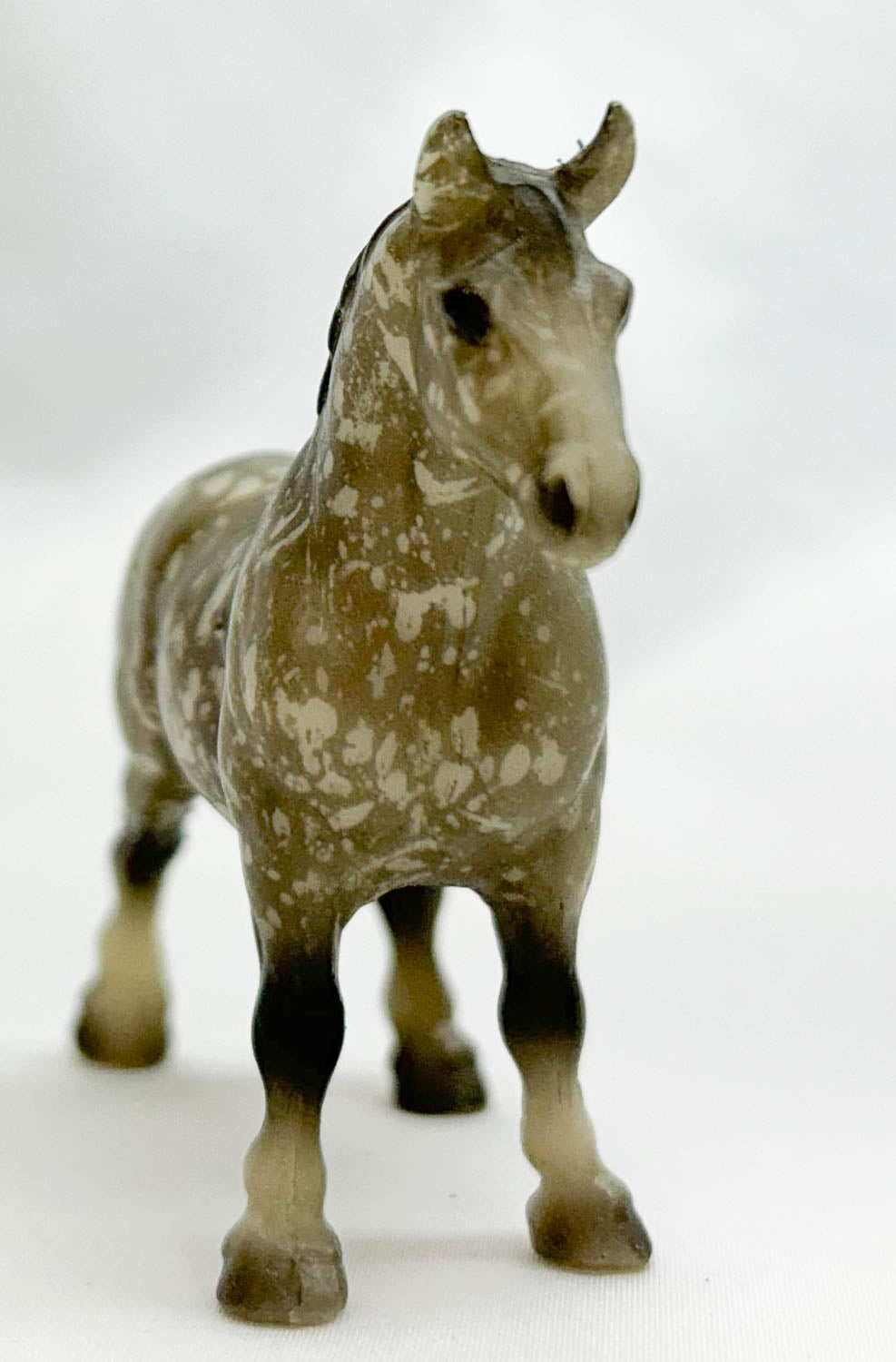 Draft Horse, Dapple Grey - Sears SR (sale for charity)