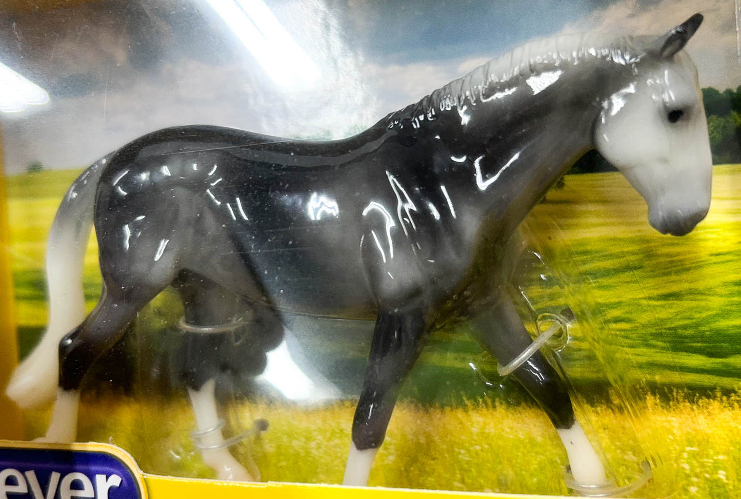 Irish Draft Horse ~ Corbin (sale for charity)