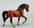 Morgan Stallion, Bay - No Mold Mark (sale for charity)