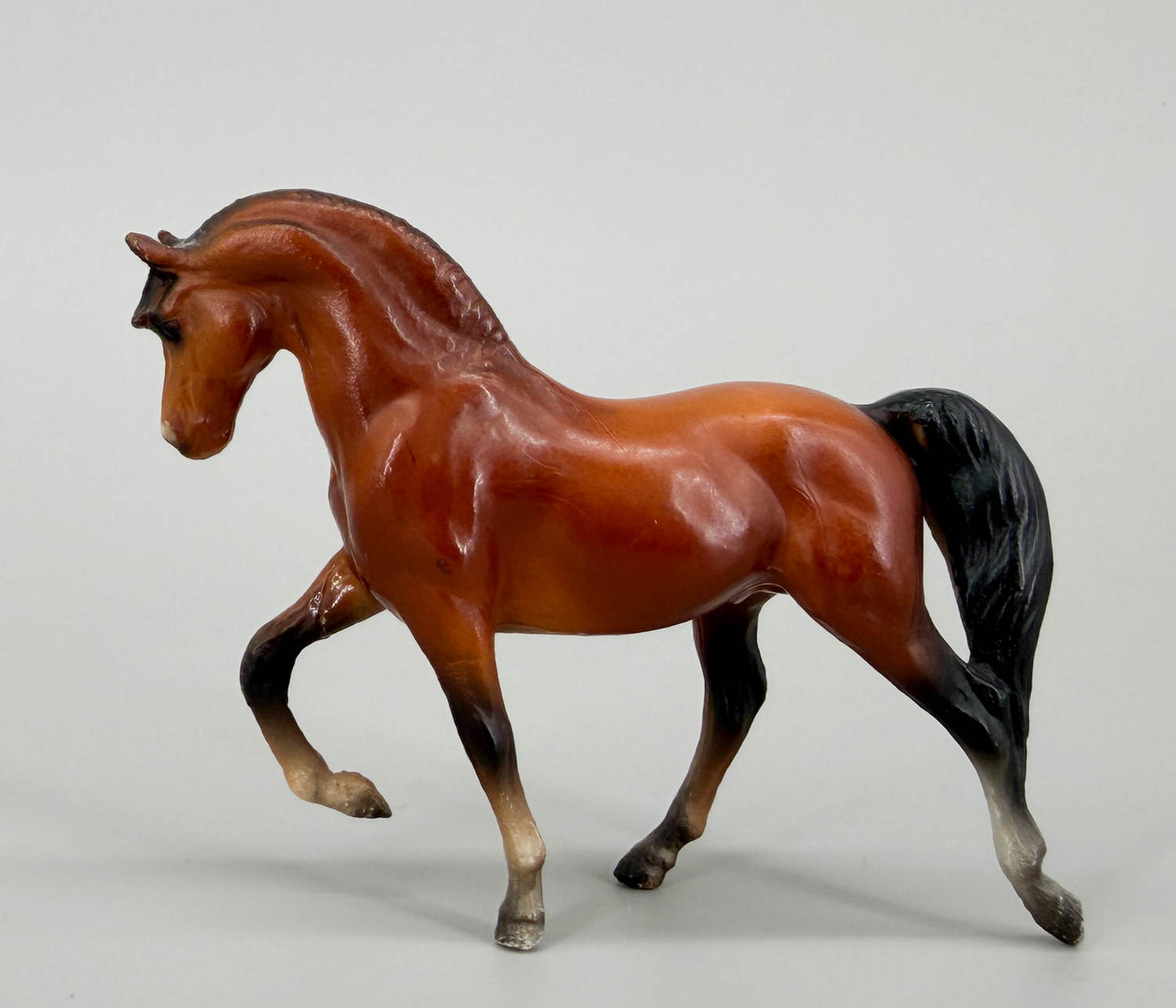 Morgan Stallion, Bay - No Mold Mark (sale for charity)