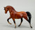Morgan Stallion, Bay - No Mold Mark (sale for charity)