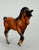 Morgan Stallion, Bay - No Mold Mark (sale for charity)