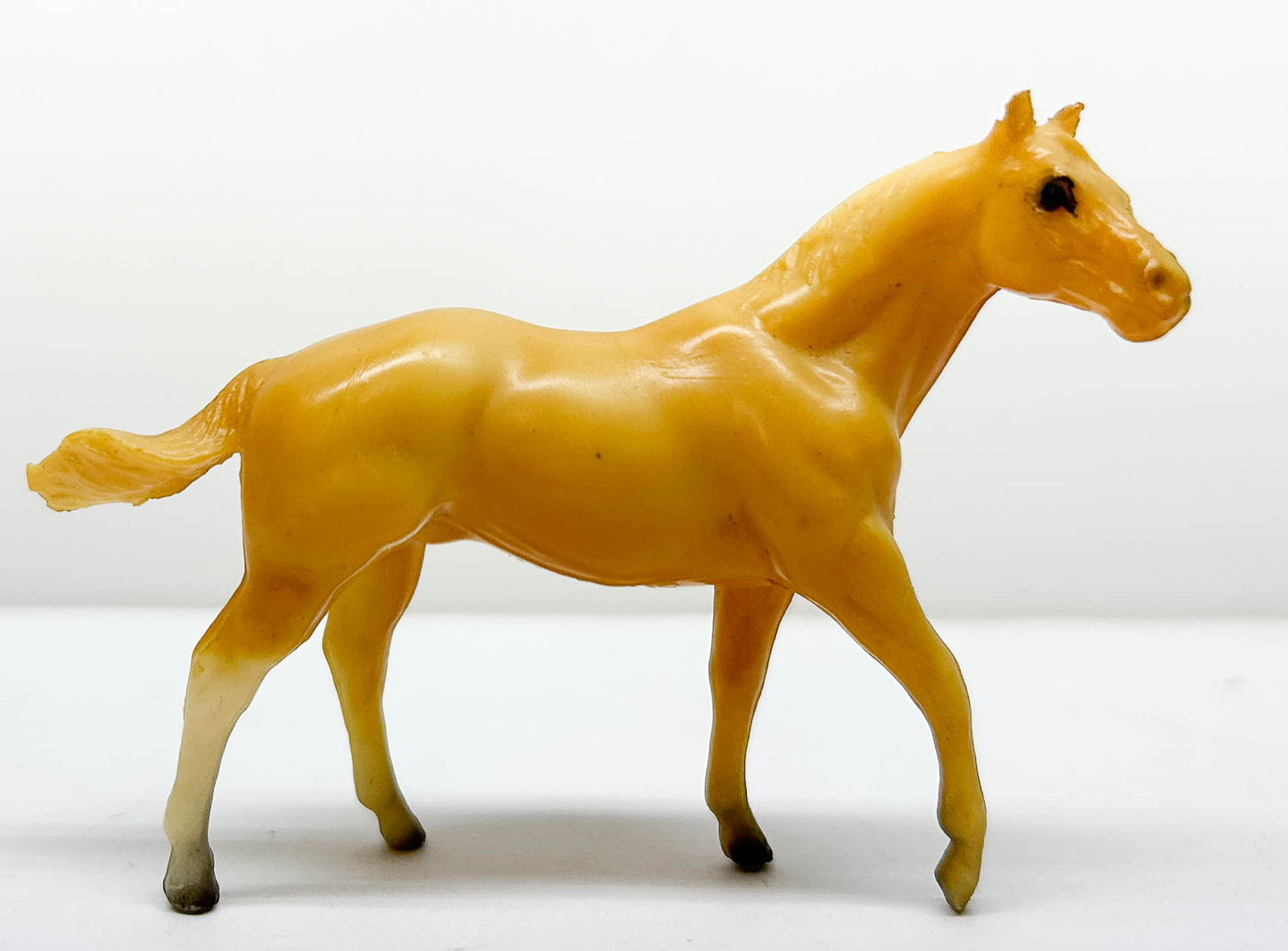 Quarter Horse Stallion, Palomino (sale for charity)