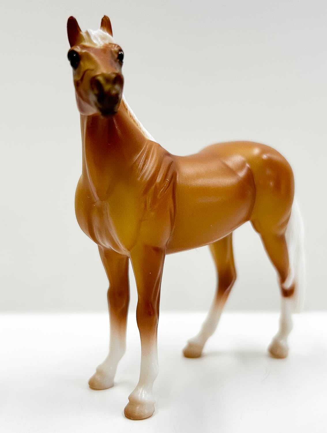 Standing Stock Horse, Palomino