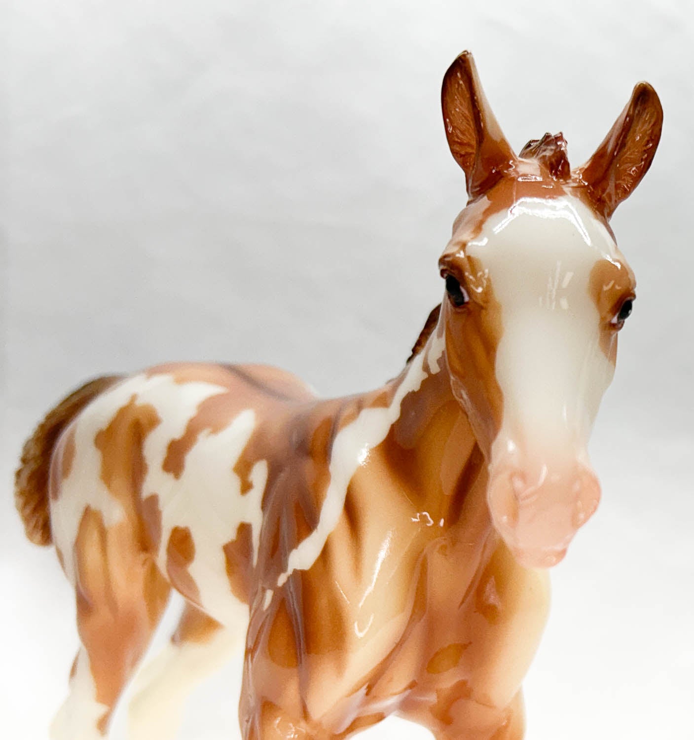 1:6 Scale Foal ~ Camila, Springtime Foal (Most White Version)(sale for charity)