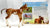 1:6 Scale Foal ~ Camila, Springtime Foal (Medium White Version)(sale for charity)