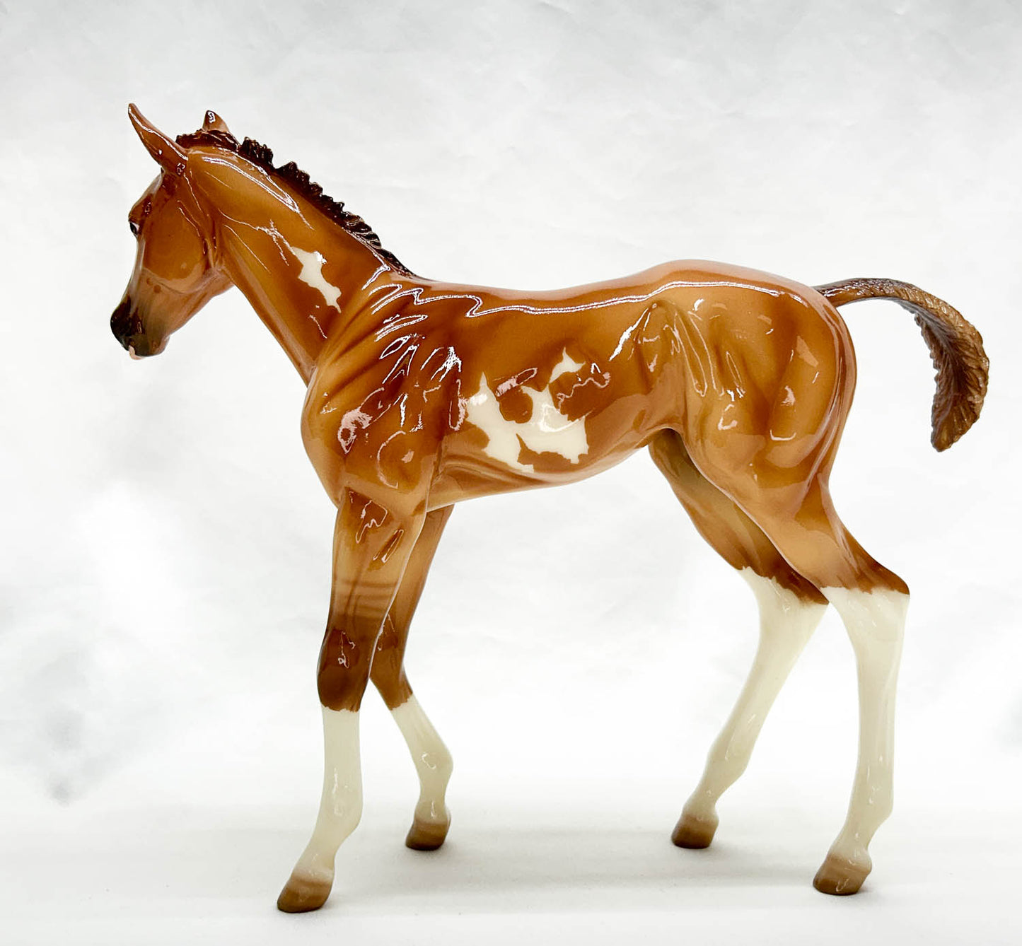 1:6 Scale Foal ~ Camila, Springtime Foal (Medium White Version)(sale for charity)