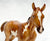 1:6 Scale Foal ~ Camila, Springtime Foal (Medium White Version)(sale for charity)