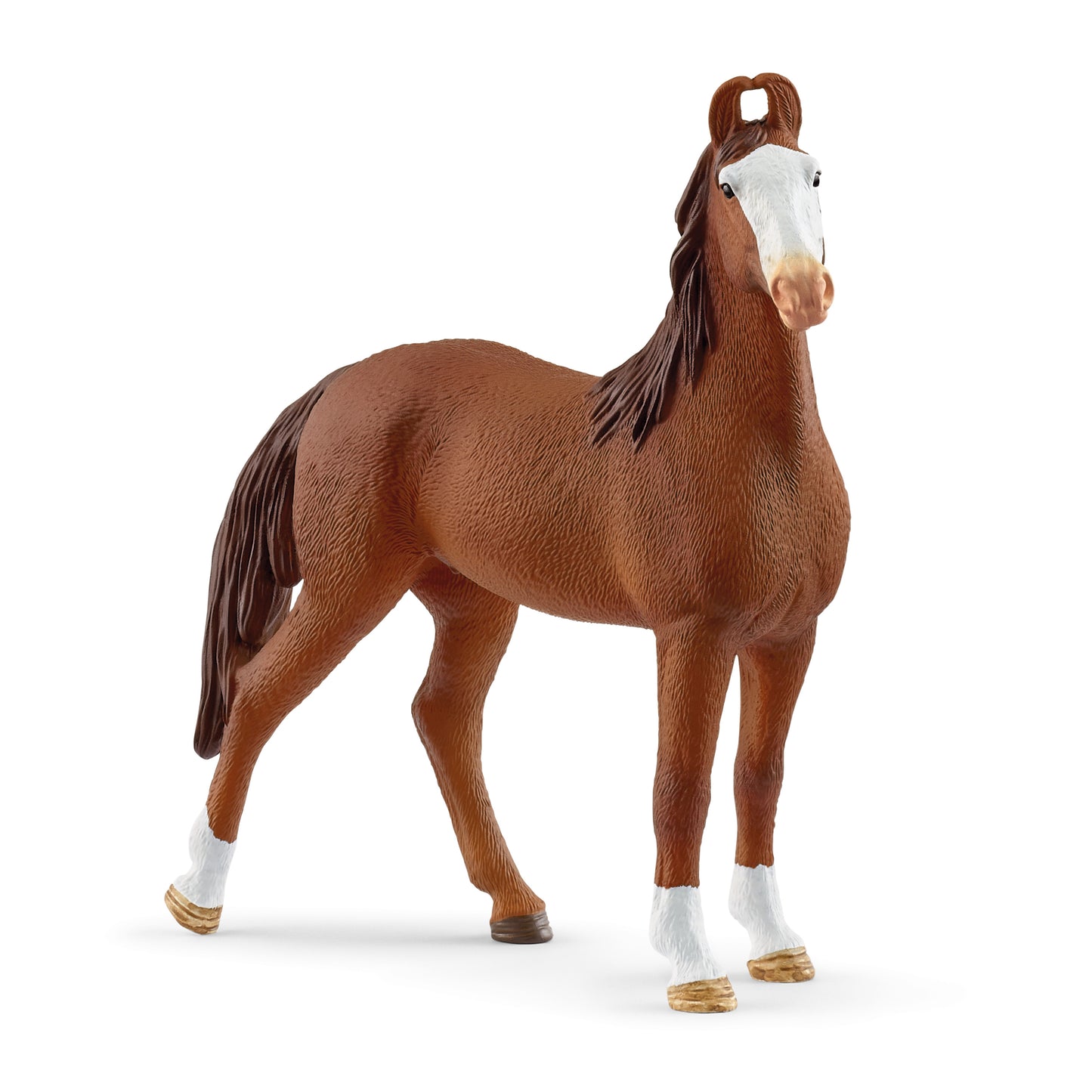 Marwari Mare, Chestnut - ADVANCE SALE