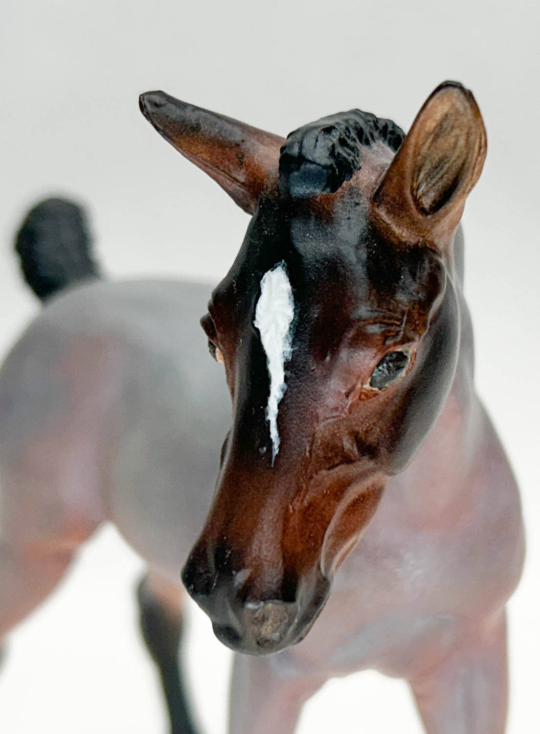 Amber ~ Showdrop - Custom by Katherine Irving