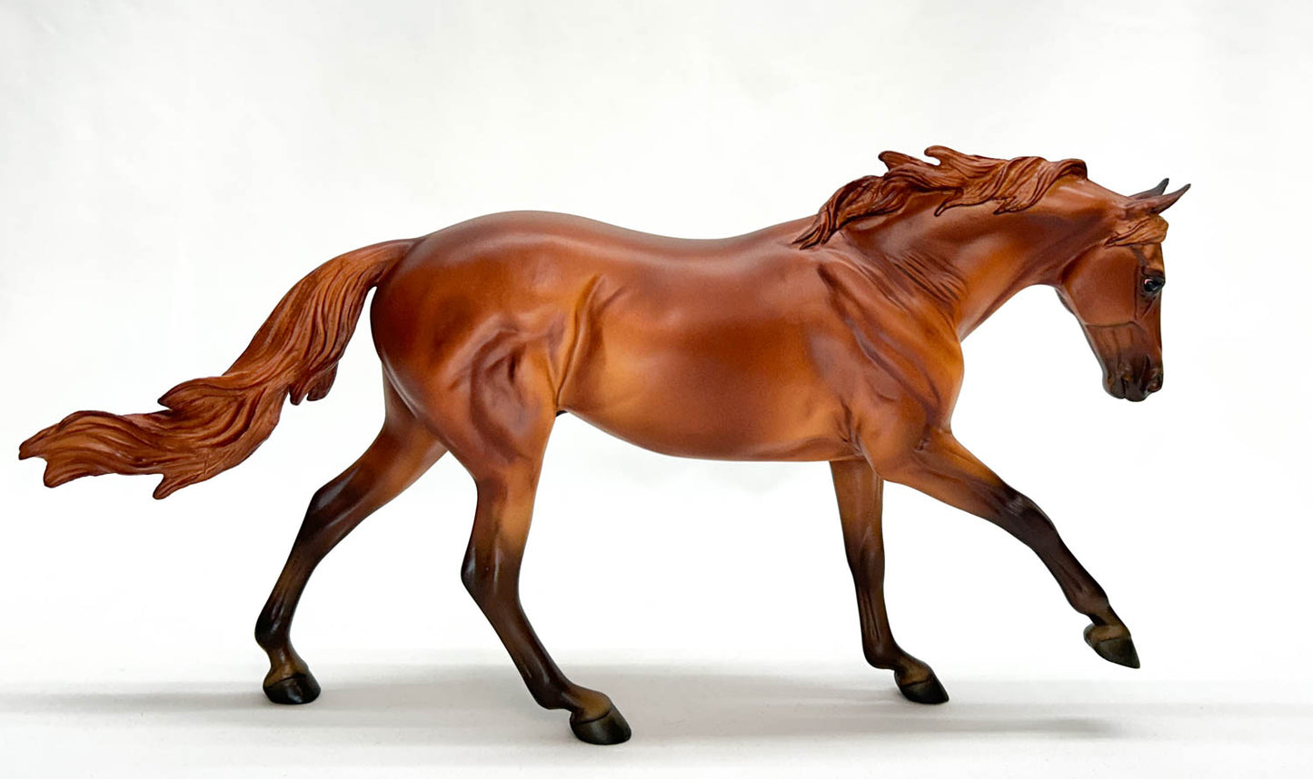 Australian Stock Horse ~ Hal - BreyerFest 2019