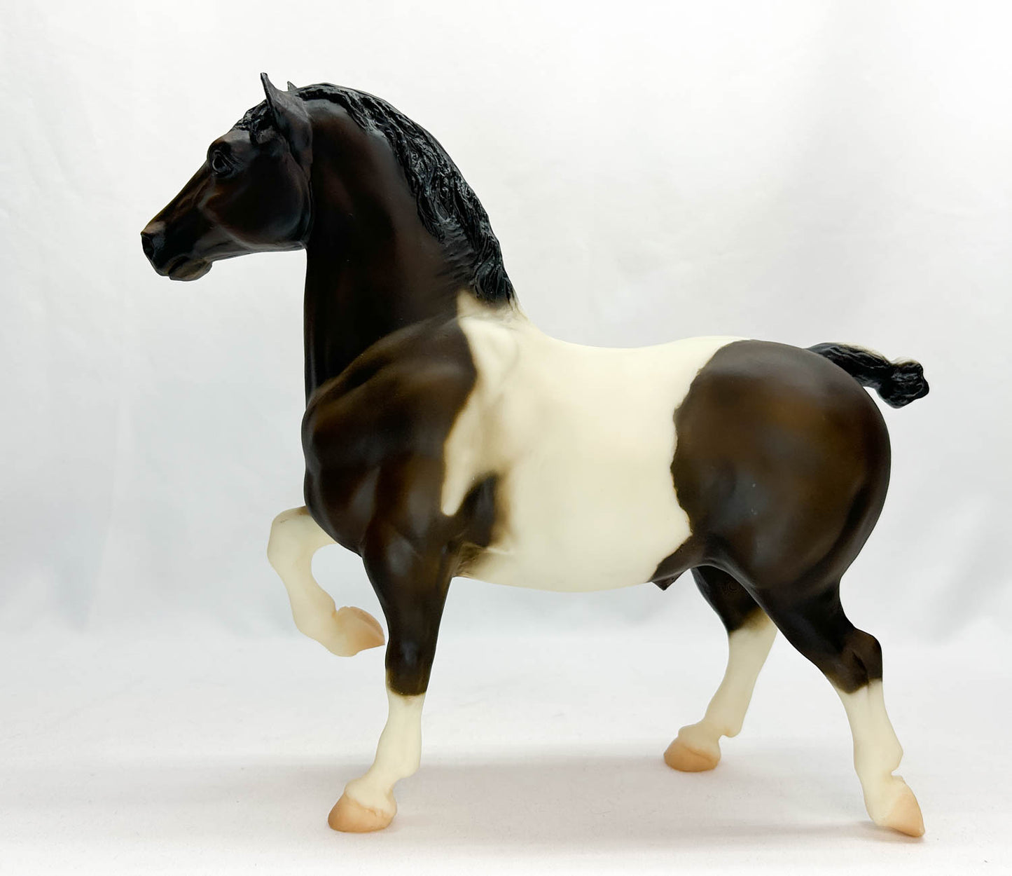 Belgian ~ Toby the Vaulting Horse