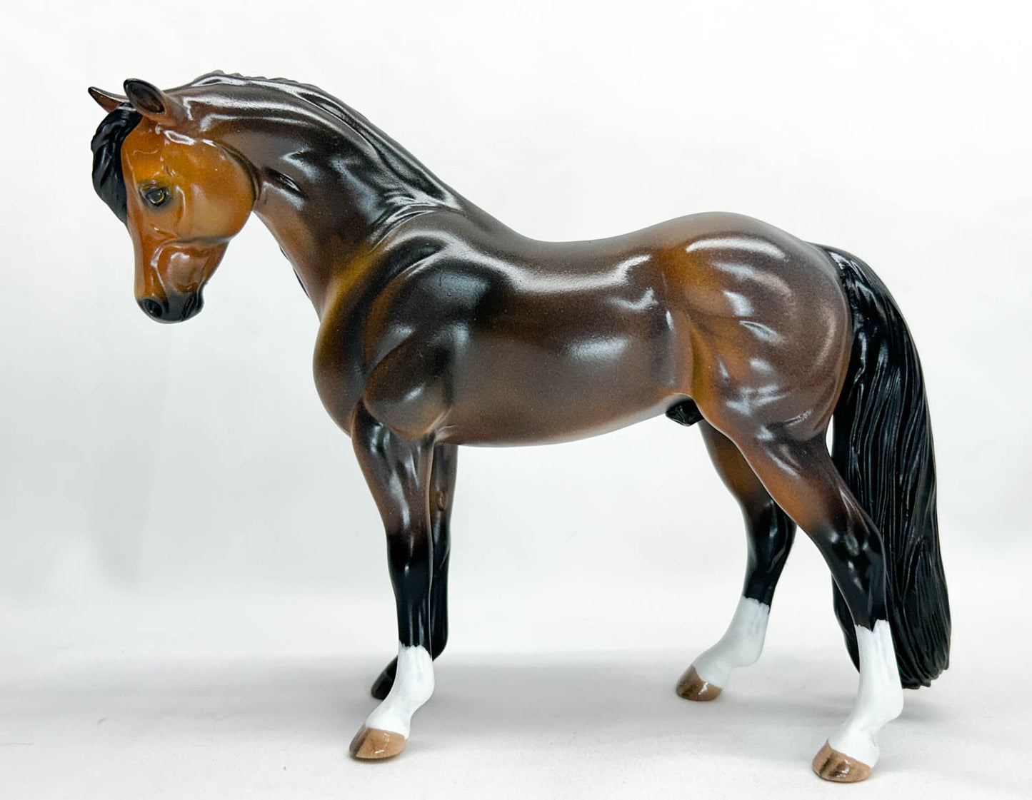 Bouncer, Bay Roan, Custom by Jessica Fry