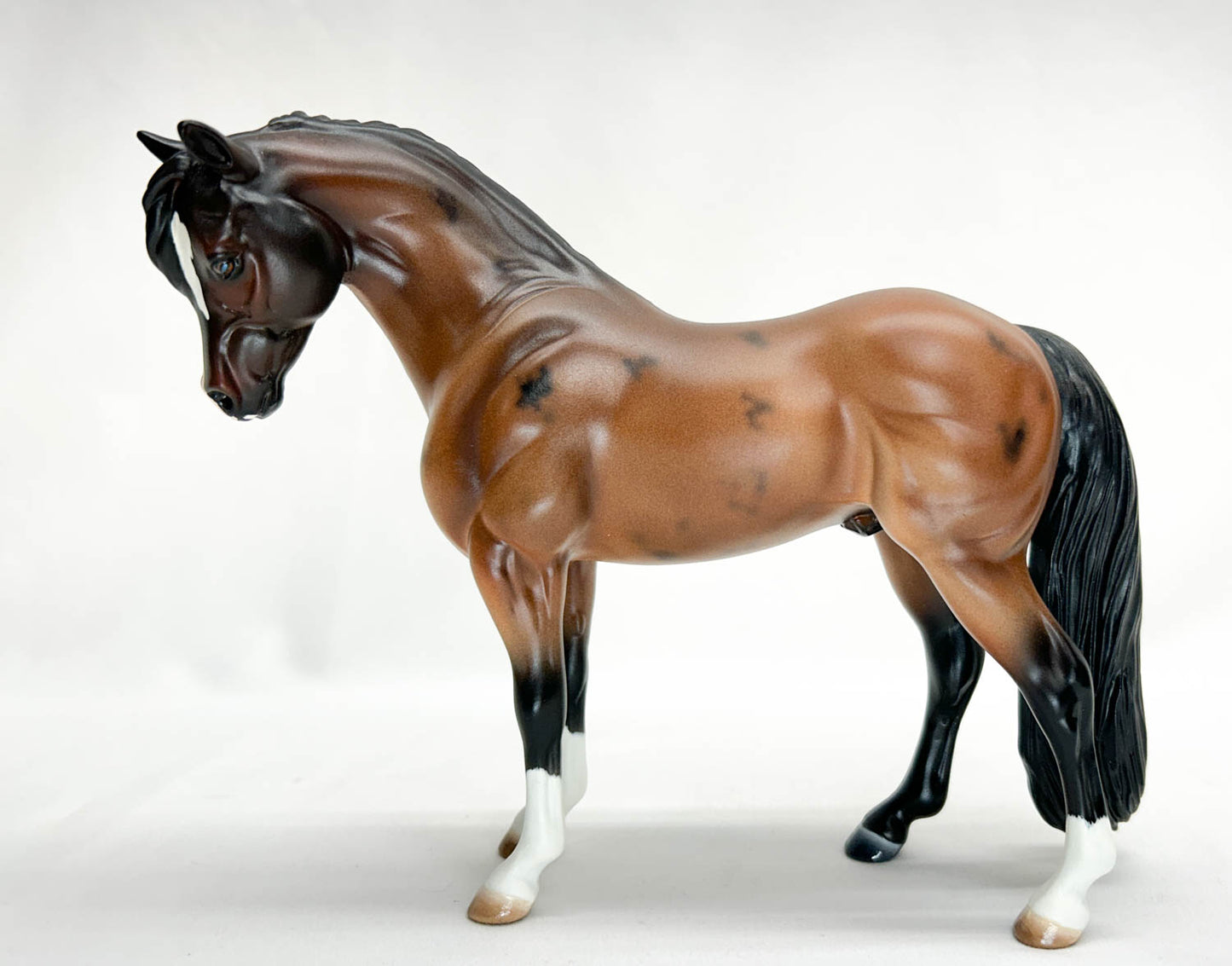 Bouncer, Bay Roan ~ "Poster Pony II" Custom by Jessica Fry