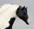 Andalusian Stallion, Black Pinto