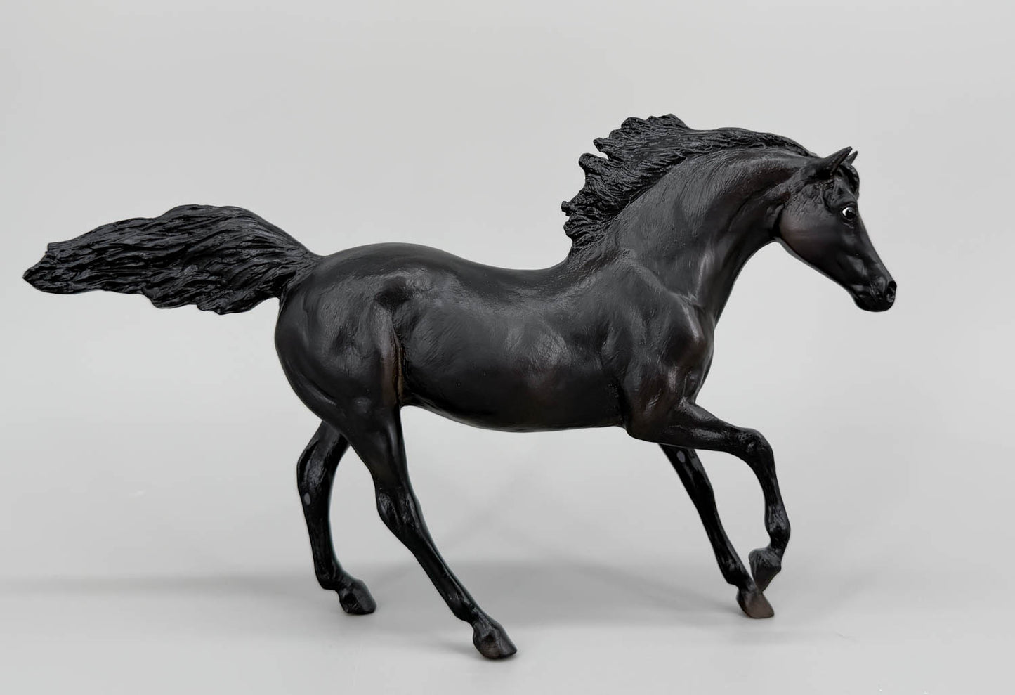 Andalusian Stallion ~ Flicka