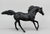 Andalusian Stallion ~ Flicka