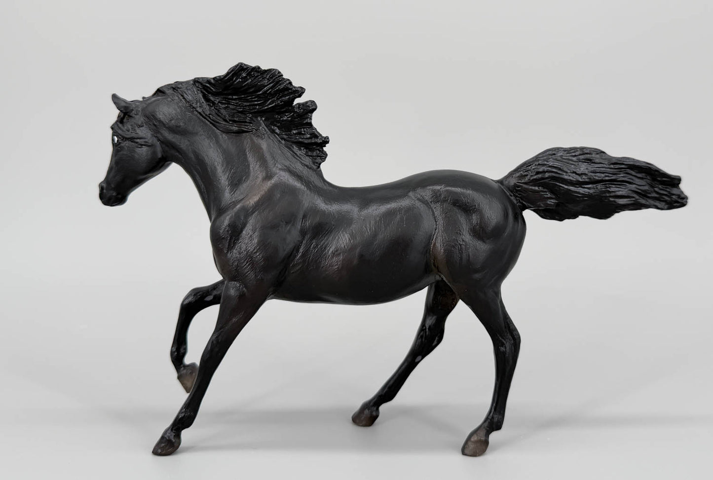 Andalusian Stallion ~ Flicka