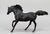 Andalusian Stallion ~ Flicka