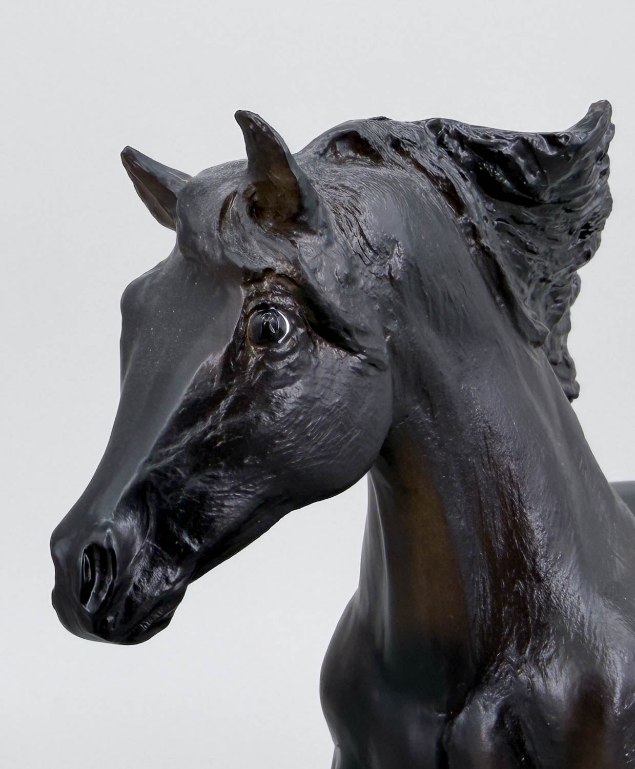 Andalusian Stallion ~ Flicka