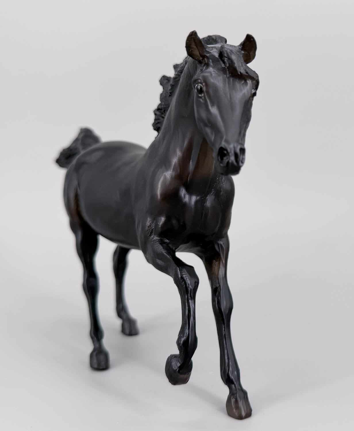 Andalusian Stallion ~ Flicka