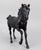 Andalusian Stallion ~ Flicka