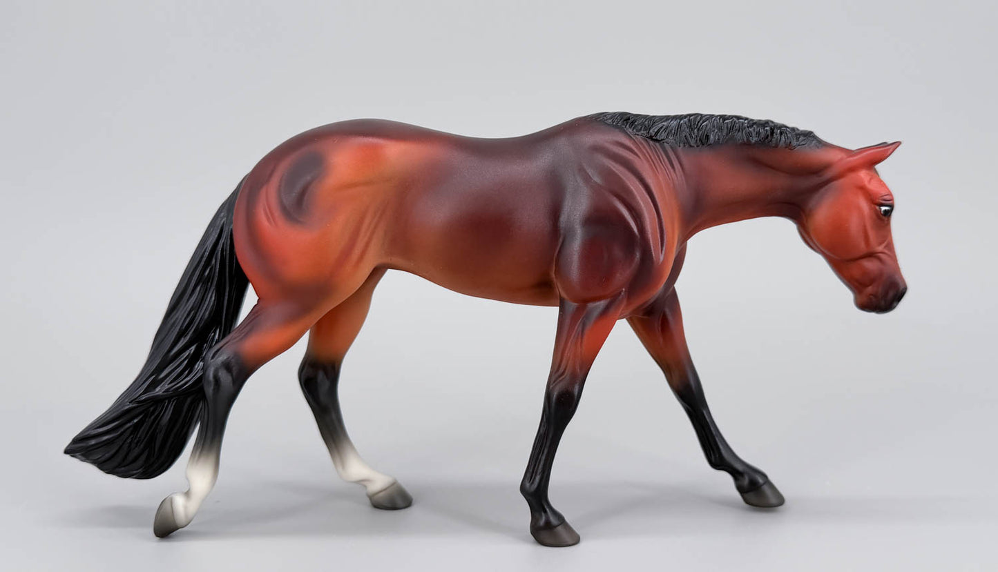 American Quarter Horse Mare ~ Hollywood Gold Family - Walmart SR