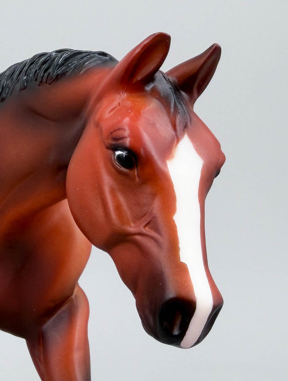 American Quarter Horse Mare ~ Hollywood Gold Family - Walmart SR